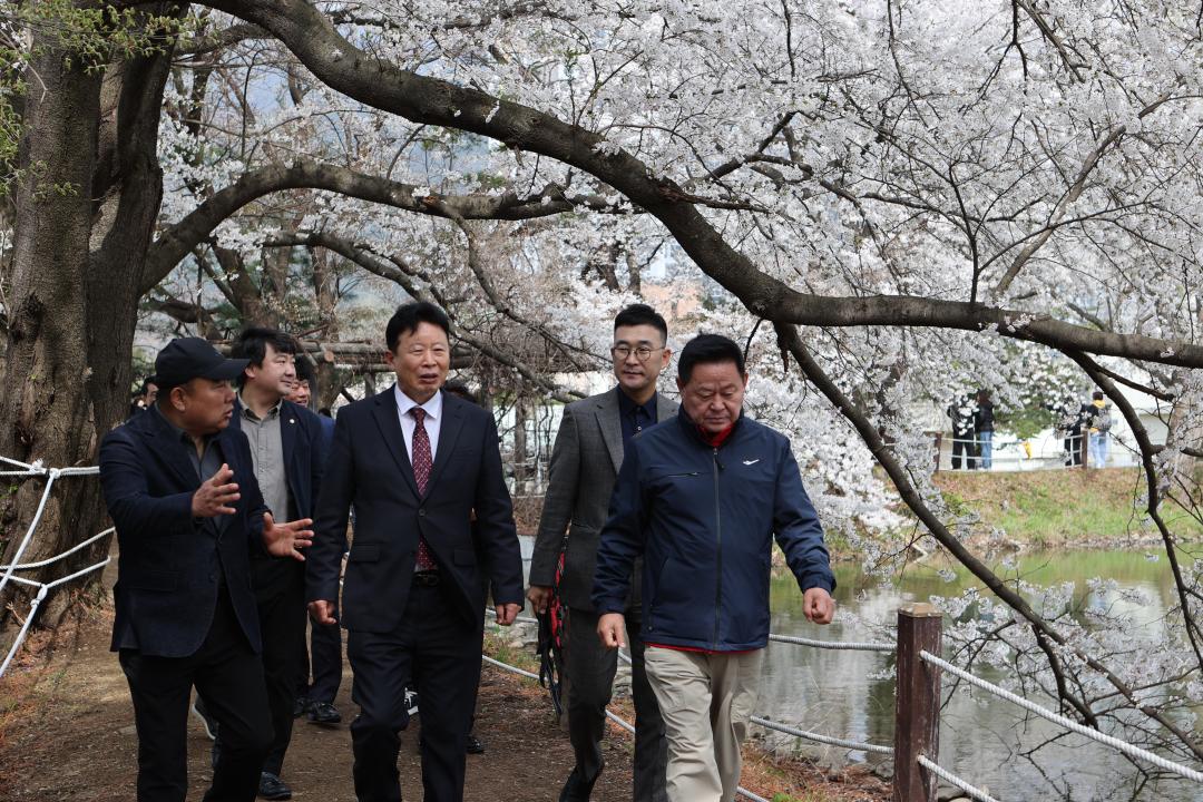'20260411_청평 옛 중앙내수면연구소 벚꽃길 개방 행사' 게시글의 사진(10) 'AE8I5758.JPG'