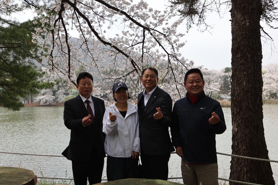 '20260411_청평 옛 중앙내수면연구소 벚꽃길 개방 행사' 게시글의 사진(12) 'AE8I5785.JPG'