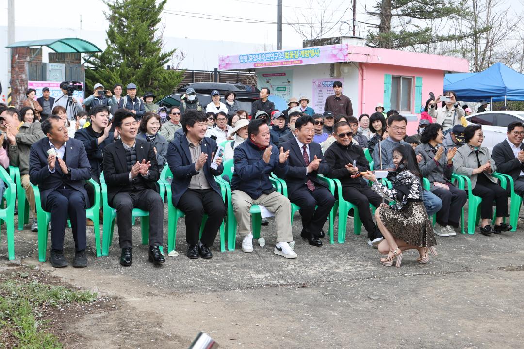 '20260411_청평 옛 중앙내수면연구소 벚꽃길 개방 행사' 게시글의 사진(2) 'AE8I5626.JPG'