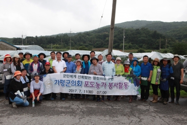 가평군의회 포도농가 봉사활동