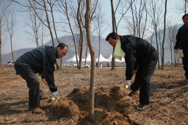 제66회 나무심기 행사