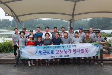 가평군의회 포도농가 봉사활동