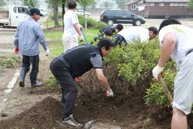 자라섬 수해복구 봉사활동