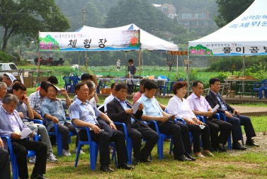 설악면 물미마을 연꽃축제