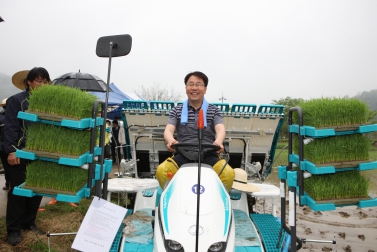 2013 모내기 시연행사