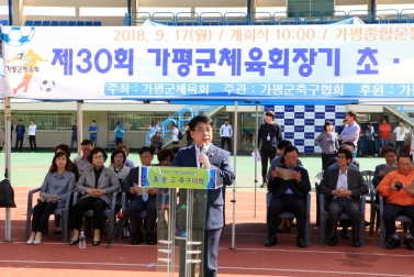 제 30회 가평군체육회장기 초 중 고 축구대회