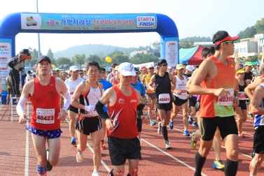 제8회 가평 자라섬 마라톤대회