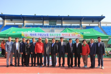 제18회 가평군농협 원로조합원 게이트볼대회